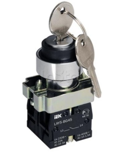 Переключатель LAY5-BG45 на 2 положения с ключом без фиксации IEK BSW80-BG-2-K02 в Домодедово Аксессуары для стоек и шкафов Pintop.ru