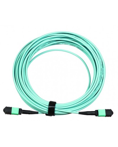 Сборка кабельная LANMASTER (LAN-12M-12M/OM3B-1.0) в Домодедово Коннекторы Pintop.ru