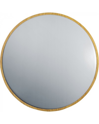 Светильник Navigator 93 460 NLF-C-025-02 в Домодедово Светильники Pintop.ru