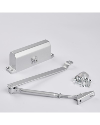 Доводчик R-Lock RL-DCM-EN3-00S в Домодедово Доводчики Pintop.ru