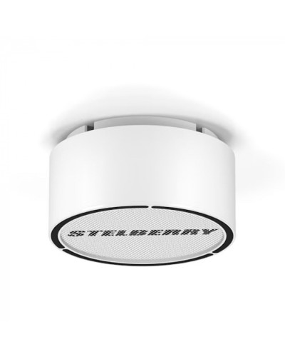 Громкоговоритель STELBERRY F-306W в Домодедово Акустические системы Pintop.ru