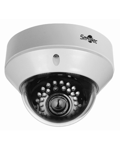 IP-Камера видеонаблюдения купольная Smartec STC-IPM3572A/1 Xaro в Домодедово IP-камеры Pintop.ru