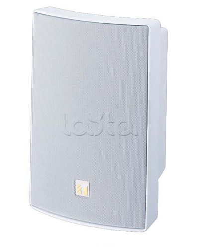 Громкоговоритель универсальный двухполосный TOA BS-1030W в Домодедово Системы оповещения и трансляции TOA Pintop.ru