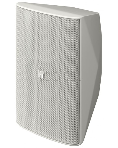 Громкоговоритель 2 полосный TOA F-2000 WT в Домодедово Системы оповещения и трансляции TOA Pintop.ru