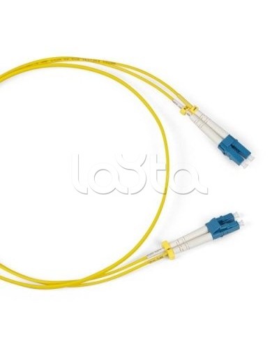 Патч-корд оптический TWT-2FC-2LC/SAU-10 в Домодедово Патч-корды оптические Pintop.ru