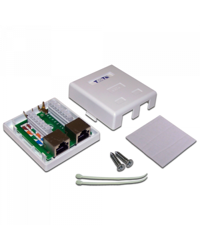 Настенная розетка, 2 порта RJ-45 категории 6, STP, белая TWT (TWT-SM2-4545/S6-WH) в Домодедово Розетки компьютерные и телефонные Pintop.ru