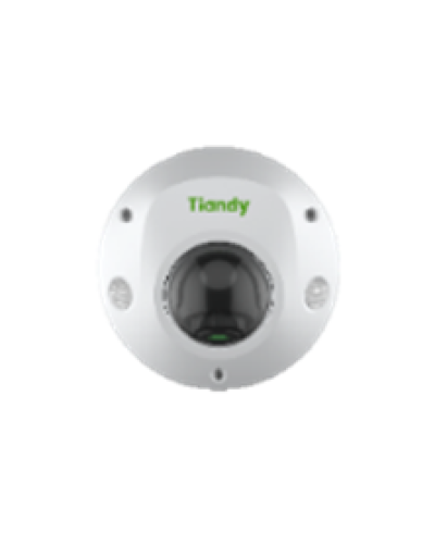 Купольная IP-камера Tiandy TC-C32PS Spec:I3/E/Y/M/H/2.8mm/V4.2 в Домодедово IP-камеры Pintop.ru