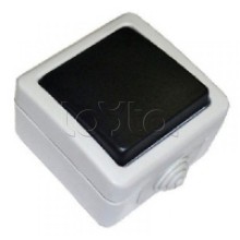 Экопласт EF600SD Выключатель одноклавишый с самовозвратом (кнопка),10A (сер.)