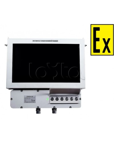 Монитор взрывозащищенный Компания СМД Орион МК М 19-С в Домодедово Дополнительное оборудование (Ex) Pintop.ru