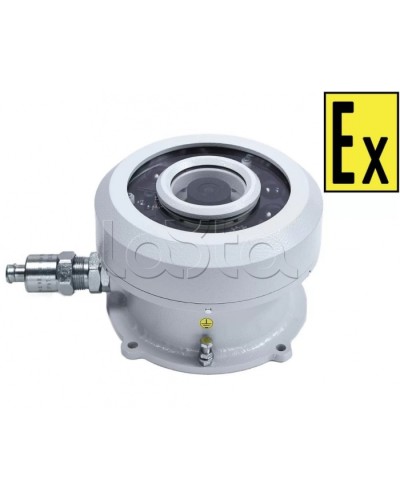 Видеокамера взрывозащищенная Компания СМД Орион МК ВК FishEye-Н в Домодедово Взрывозащищенные камеры Pintop.ru