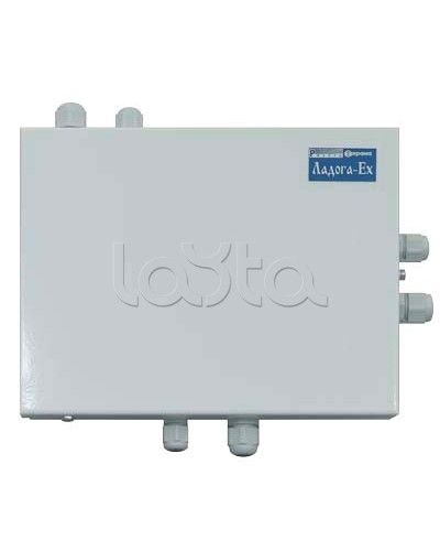 Блок расширения шлейфов сигнализации Риэлта БРШС-Ex в Домодедово Системы охраны взрывоопасных объектов Pintop.ru