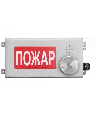 Табло светозвуковое взрывозащищенное Спектрон ТСЗВ-Exm-Н-Прометей-МИНИ 220В в Домодедово Оповещатели Ex Pintop.ru