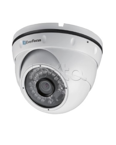 IP-камера видеонаблюдения уличная купольная EverFocus EBN-268 в Домодедово IP-камеры Pintop.ru