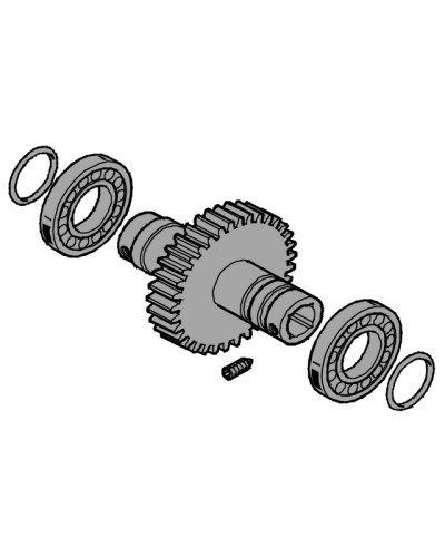 Вал выходной EMEGA Came 119RIE062 в Домодедово Запчасти для шлагбаумов и автоматики Pintop.ru