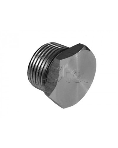 Металлическая резьбовая заглушка взрывозащищённая Магнито-контакт Ех-заглушка ВЗ 1 М Н (под Ø 20) 1Ex d IIС Gb/PB Ex d I Mb или Ex tb IIIС Db или 0Ex ia IIC Ga или 1Ex e IIС Gb в Домодедово Дополнительное оборудование (Ex) Pintop.ru