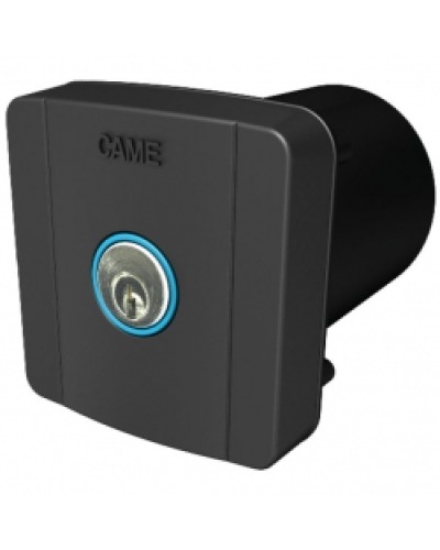 Ключ-выключатель встраиваемый Came 806SL-0020 в Домодедово Запчасти для шлагбаумов и автоматики Pintop.ru