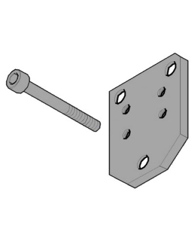 Пластина монтажная FLEX Came 119RID143 в Домодедово Запчасти для шлагбаумов и автоматики Pintop.ru