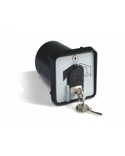 Ключ-выключатель с защитой цилиндра, встраиваемый Came 001SET-K в Домодедово Запчасти для шлагбаумов и автоматики Pintop.ru