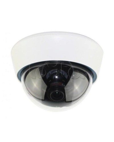 IP-камера видеонаблюдения купольная EverFocus ACE-IOV20A в Домодедово IP-камеры Pintop.ru