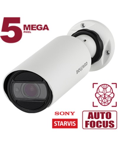 Bullet IP-камера Beward SV3218RZ в Домодедово IP-камеры Pintop.ru